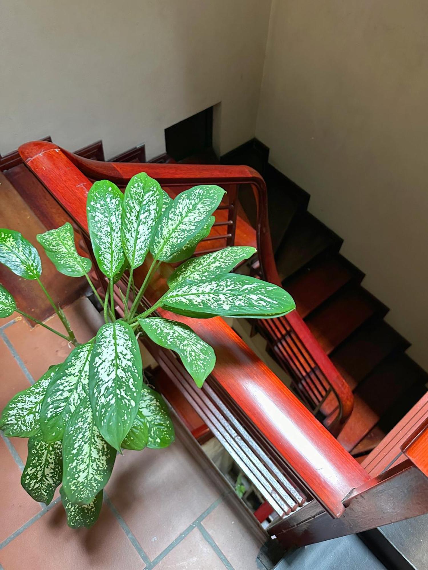 Halo Bay Homestay Hạ Long-öböl Kültér fotó